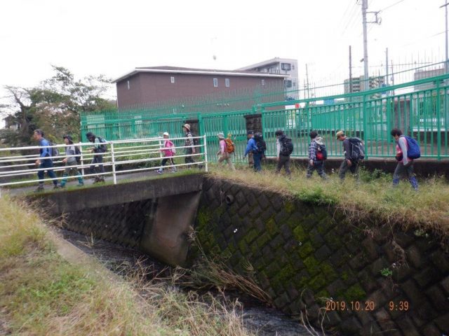 市民ハイキング |三鷹市体育協会