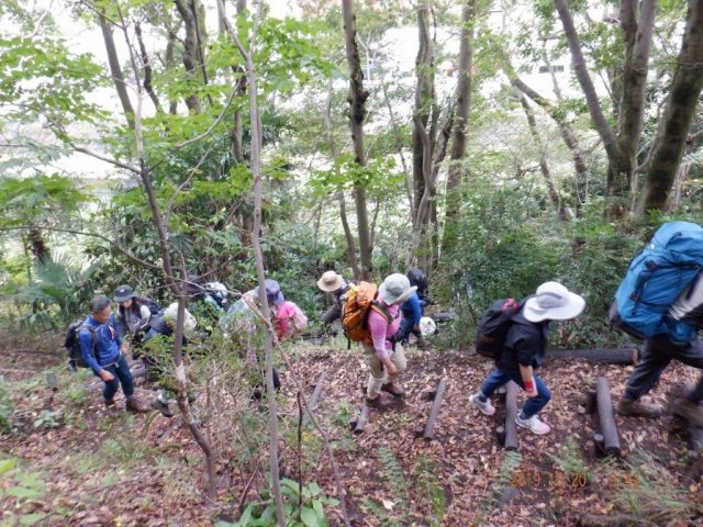 市民ハイキング |三鷹市体育協会